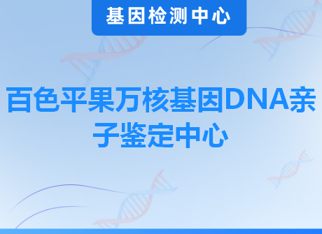 百色平果万核基因DNA亲子鉴定中心