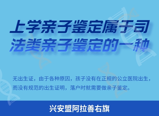 兴安盟阿拉善右旗学籍上学或考试亲子鉴定