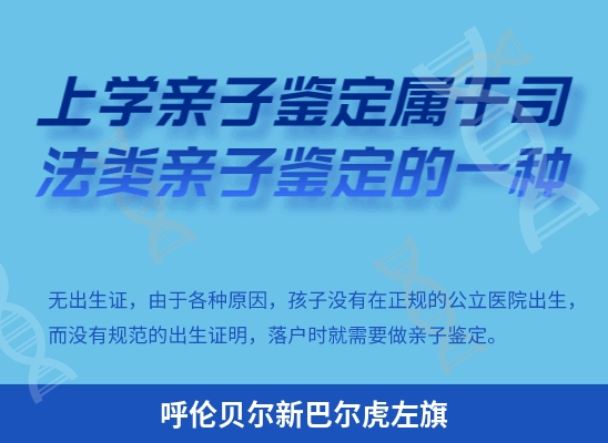 呼伦贝尔新巴尔虎左旗学籍上学或考试亲子鉴定