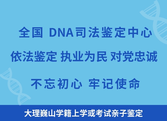 大理巍山学籍上学或考试亲子鉴定