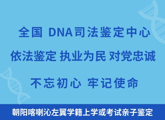 朝阳喀喇沁左翼学籍上学或考试亲子鉴定