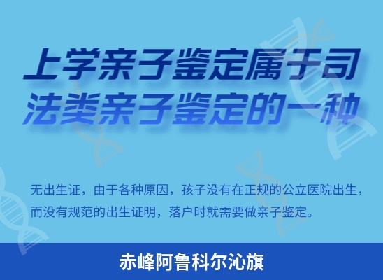 赤峰阿鲁科尔沁旗学籍上学或考试亲子鉴定