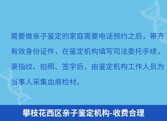 攀枝花西区学籍上学或考试亲子鉴定