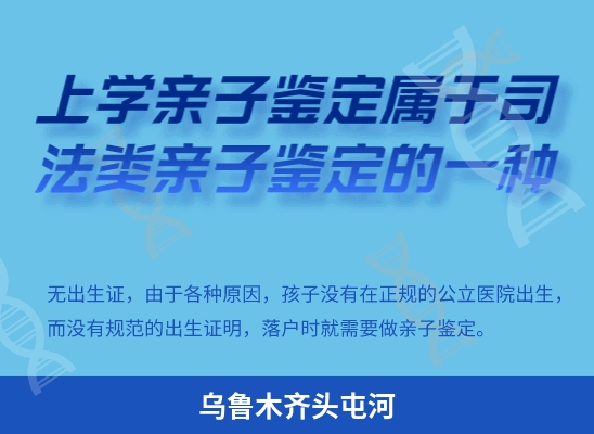 乌鲁木齐头屯河学籍上学或考试亲子鉴定