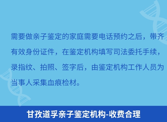 甘孜道孚学籍上学或考试亲子鉴定