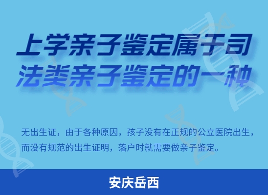 安庆岳西学籍上学或考试亲子鉴定