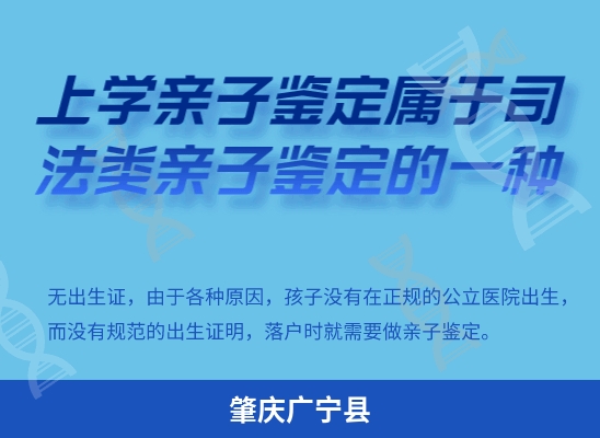 肇庆广宁县学籍上学或考试亲子鉴定