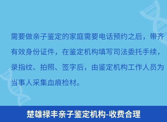 楚雄禄丰学籍上学或考试亲子鉴定