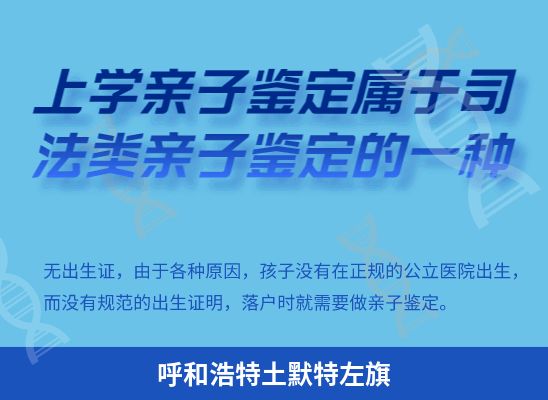 呼和浩特土默特左旗上学学籍或考试亲子鉴定