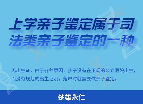 楚雄永仁上学学籍或考试亲子鉴定