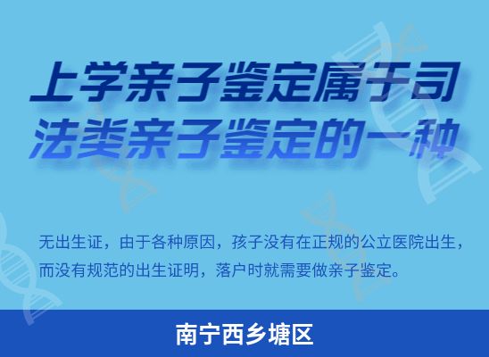 南宁西乡塘区上学学籍或考试亲子鉴定