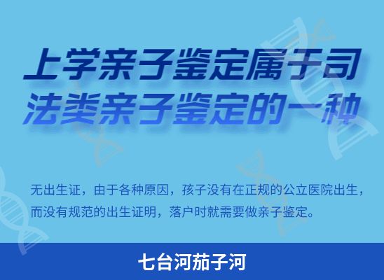 七台河茄子河上学学籍或考试亲子鉴定