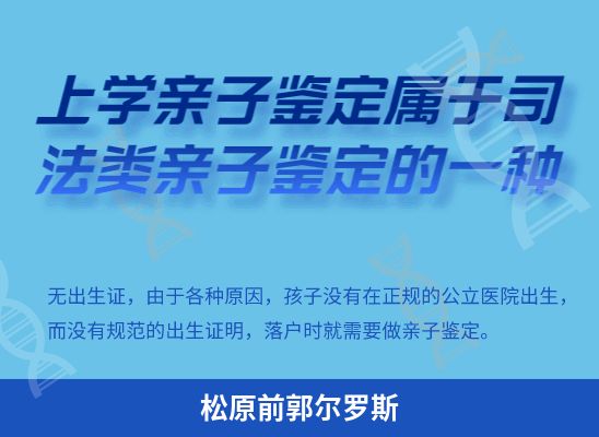 松原前郭尔罗斯上学学籍或考试亲子鉴定