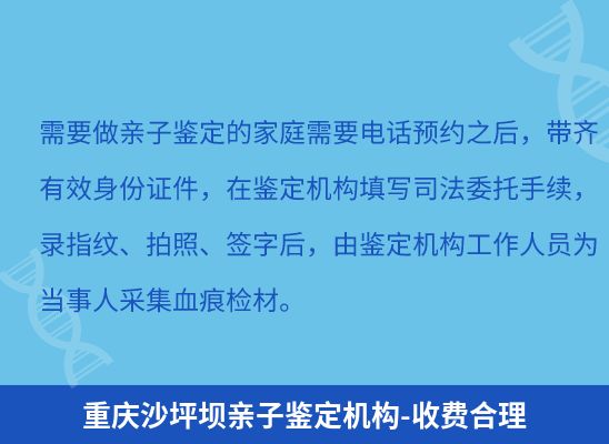 重庆沙坪坝上学学籍或考试亲子鉴定