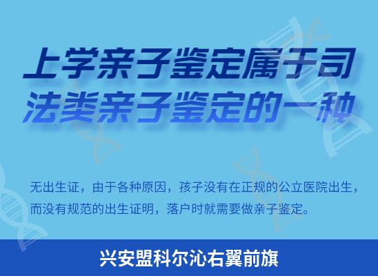 兴安盟科尔沁右翼前旗上学学籍或考试亲子鉴定