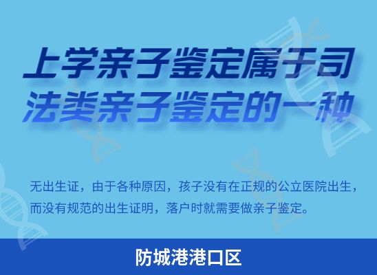 防城港港口区学籍上学、考试亲子鉴定