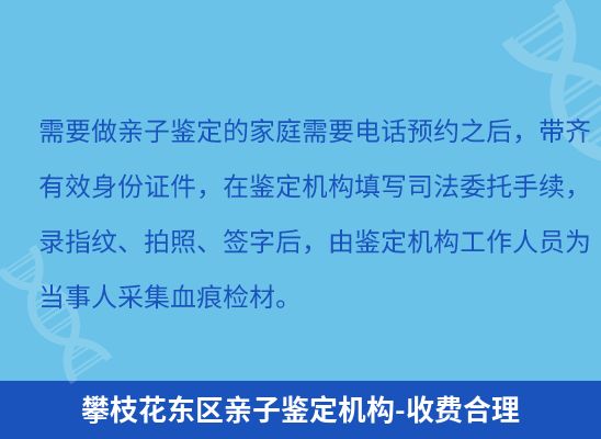 攀枝花东区学籍上学、考试亲子鉴定