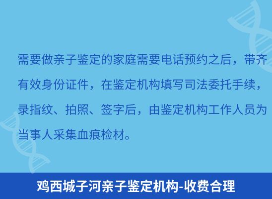 鸡西城子河学籍上学、考试亲子鉴定