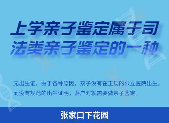 张家口下花园学籍上学、考试亲子鉴定