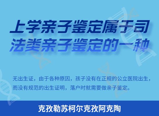 克孜勒苏柯尔克孜阿克陶学籍上学、考试亲子鉴定