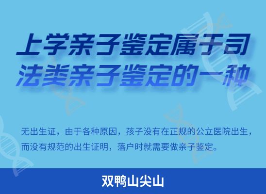 双鸭山尖山学籍上学、考试亲子鉴定