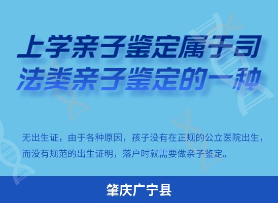 肇庆广宁县学籍上学、考试亲子鉴定