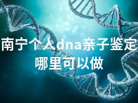 南宁个人dna亲子鉴定哪里可以做