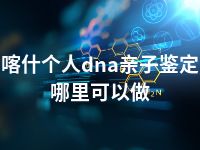 喀什个人dna亲子鉴定哪里可以做