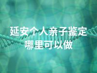 延安个人亲子鉴定哪里可以做