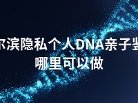 哈尔滨隐私个人DNA亲子鉴定哪里可以做