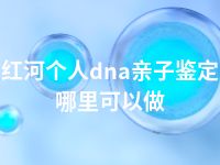 红河个人dna亲子鉴定哪里可以做