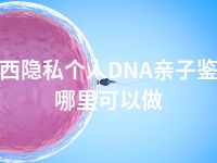 湘西隐私个人DNA亲子鉴定哪里可以做