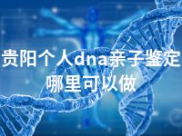 贵阳个人dna亲子鉴定哪里可以做