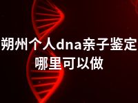 朔州个人dna亲子鉴定哪里可以做