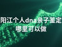 阳江个人dna亲子鉴定哪里可以做