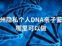 泸州隐私个人DNA亲子鉴定哪里可以做