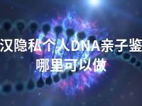 武汉隐私个人DNA亲子鉴定哪里可以做