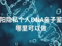 资阳隐私个人DNA亲子鉴定哪里可以做