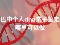 巴中个人dna亲子鉴定哪里可以做