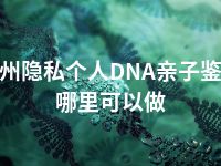 惠州隐私个人DNA亲子鉴定哪里可以做