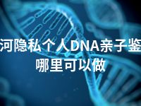 黑河隐私个人DNA亲子鉴定哪里可以做