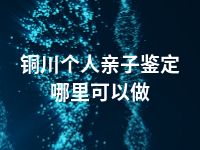 铜川个人亲子鉴定哪里可以做