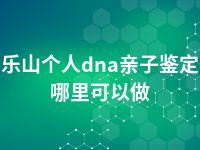 乐山个人dna亲子鉴定哪里可以做