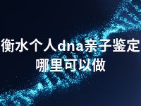 衡水个人dna亲子鉴定哪里可以做