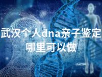 武汉个人dna亲子鉴定哪里可以做