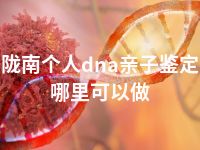 陇南个人dna亲子鉴定哪里可以做