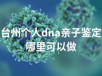 台州个人dna亲子鉴定哪里可以做