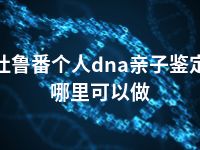 吐鲁番个人dna亲子鉴定哪里可以做