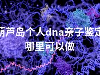 葫芦岛个人dna亲子鉴定哪里可以做