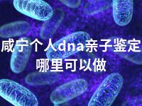 咸宁个人dna亲子鉴定哪里可以做